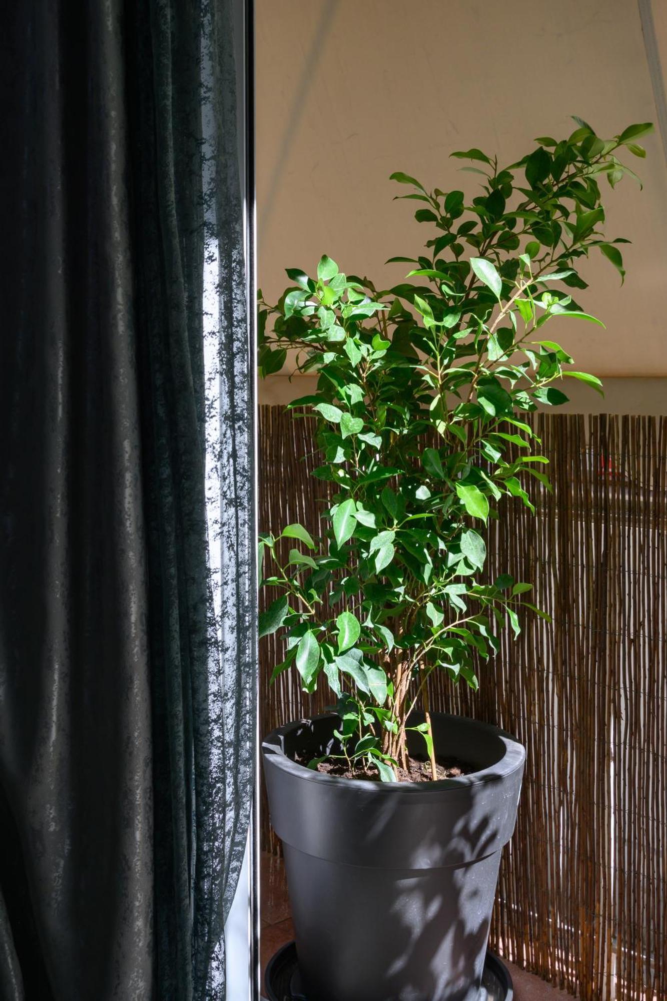 Koukaki Home Атина Екстериор снимка
